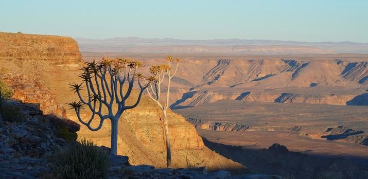 Voyage sur-mesure, Grand voyage en Namibie : d’Ethosha à Fish River