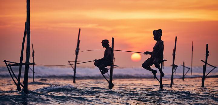 Voyage sur-mesure, Découvertes cinghalaises