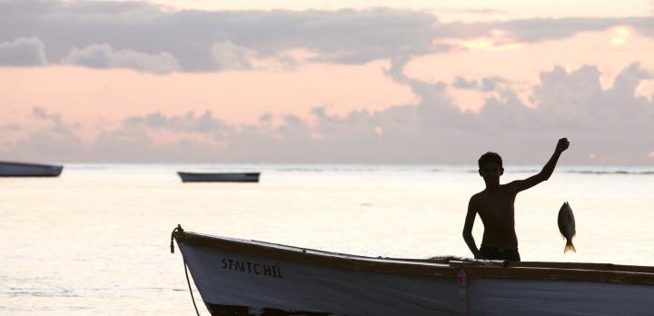 Voyage sur-mesure, L'Ile Maurice en liberté