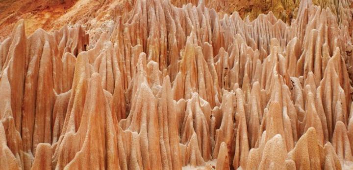 Voyage sur-mesure, Voyage famille le nord de Madagascar : Baies colorées, tsingy, lémuriens et plantations