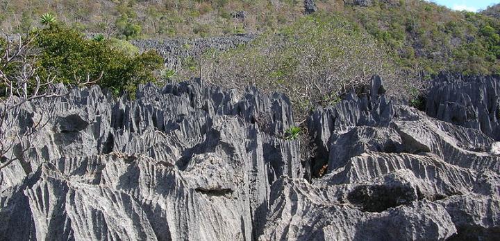 Voyage sur-mesure, Voyage famille le nord de Madagascar : Baies colorées, tsingy, lémuriens et plantations