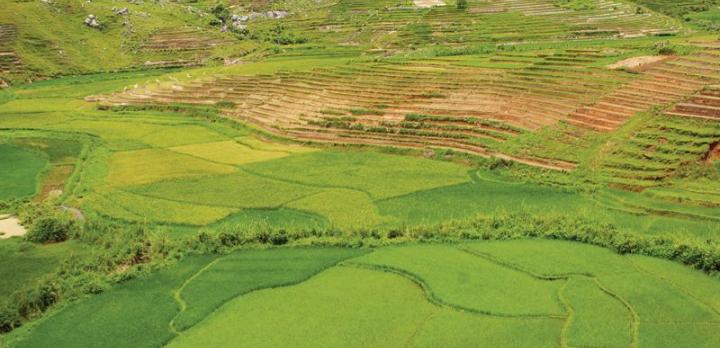 Voyage sur-mesure, Voyage d'un mois à Madagascar