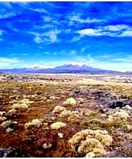 Voyage sur-mesure, Sajama et Curahuara de Carangas