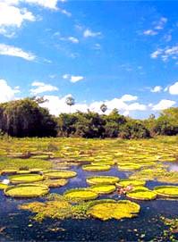 Voyage sur-mesure, Au coeur du Parc Amazonien de Madidi