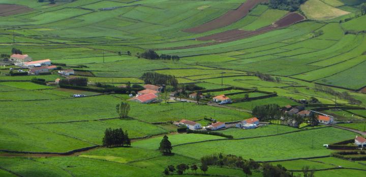 Voyage sur-mesure, Randonnées, baleines, volcans et grands navigateurs : Faial, São Jorge et Pico