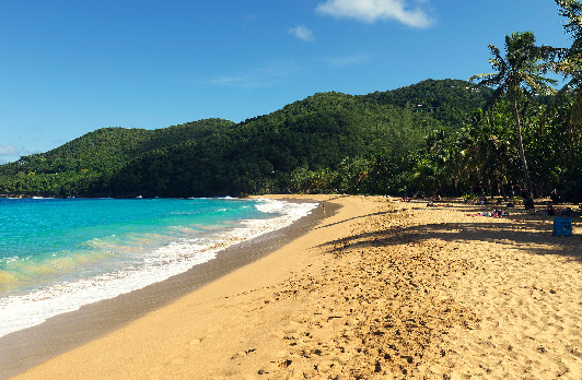 Voyage sur-mesure, Plage, forêt, mer à la découverte de la Guadeloupe en location de voiture!