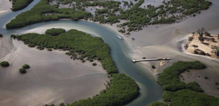 Voyage sur-mesure, Découverte du Sénégal: De Saint Louis au Delta du Sine Saloum