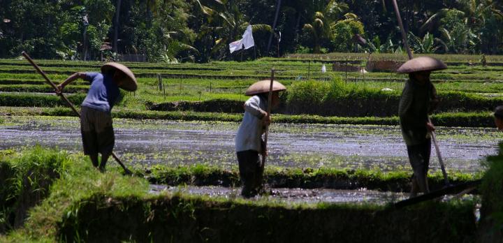 Voyage sur-mesure, Chez l'habitant à Bali