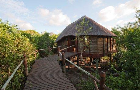 Voyage sur-mesure, Séjour à Saadani entre safari et plage