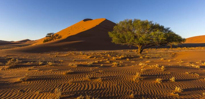 Voyage sur-mesure, Combiné Afrique du Sud - Namibie : Voyagez du Cap au Namib !