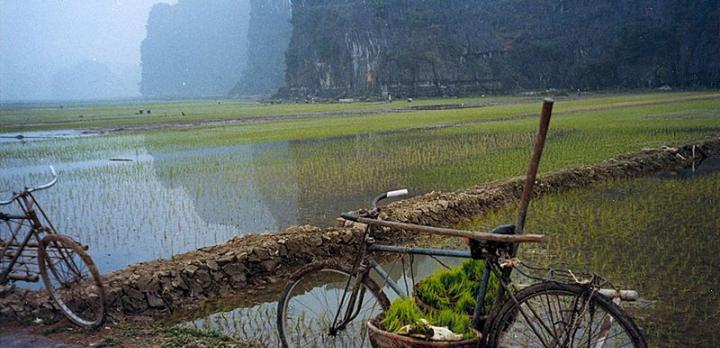 Voyage sur-mesure, Trekking dans la région de Sapa