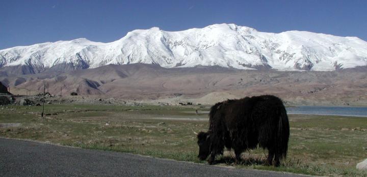 Voyage sur-mesure, Xian à Urumqi sur les traces de la Route de la Soie