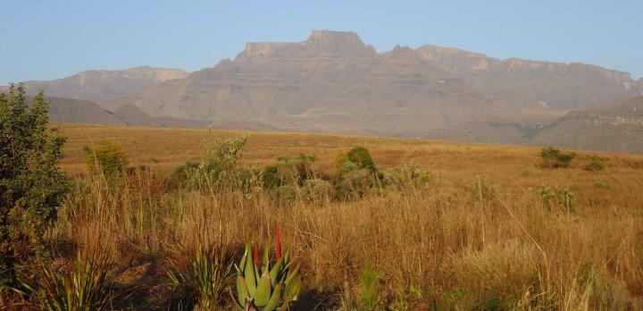 Voyage sur-mesure, Randonnée libre dans les montagnes du Drakensberg, et safari dans le bush