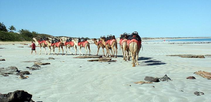 Voyage sur-mesure, La traversée de L'Australie sauvage: les Kimberleys de Broome à Darwin