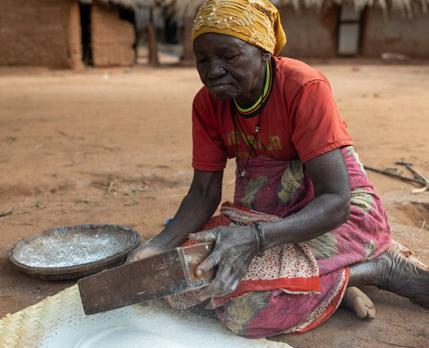 Voyage sur-mesure, Tanzanie : Safari et Rencontres authentiques avec les tribus