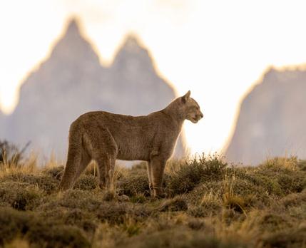 Voyage sur-mesure, Voyage en Patagonie Argentine & Chili