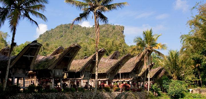 Voyage sur-mesure, Pays Toraja et Sulawesi Nord