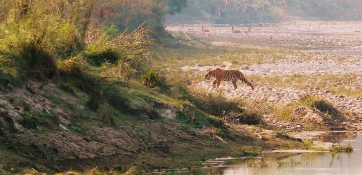 Voyage sur-mesure, Séjour au Parc National de Bardia