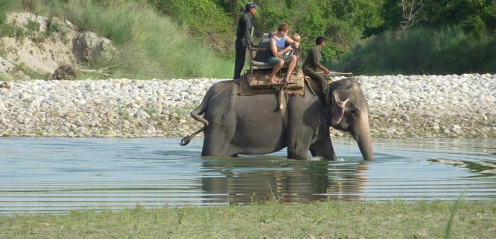 Voyage sur-mesure, Séjour au Parc National de Bardia