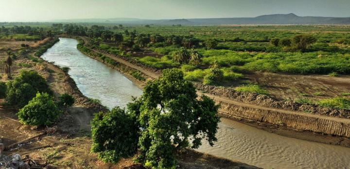 Voyage sur-mesure, Voyage en pays Afar jusqu'au Danakil