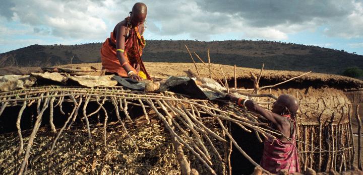 Voyage sur-mesure, Tanzanie : Safari et Rencontres authentiques avec les tribus