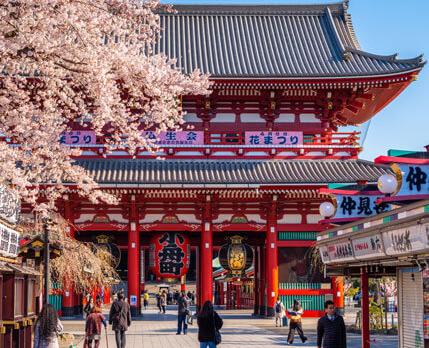 Voyage sur-mesure, A la découverte du Japon: Kyoto et Tokyo