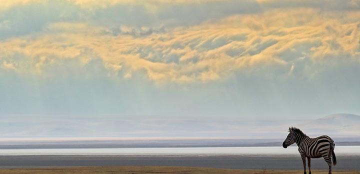 Voyage sur-mesure, Randonnée à Empakai et safari dans le nord de la Tanzanie