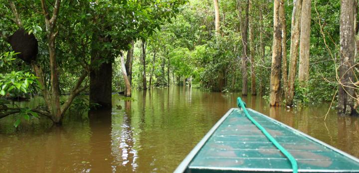 Voyage sur-mesure, Les incontournables: Rio, Iguaçu et Amazonie