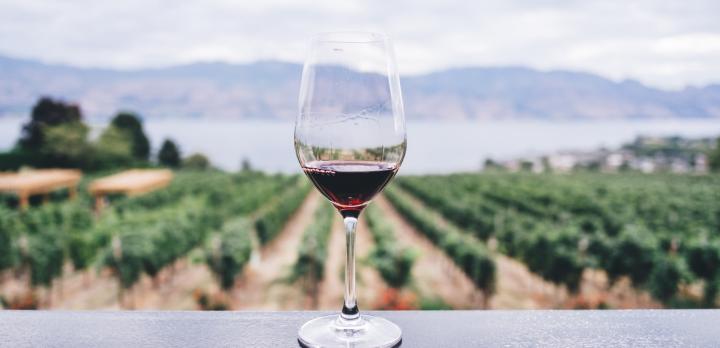 Voyage sur-mesure, Du Beaujolais au Mâconnais, menez la vie de chateau sur la route des vins !