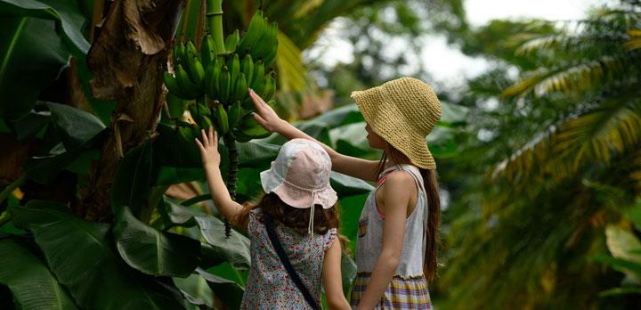 Voyage sur-mesure, Voyage en famille au Costa Rica : observations animalières, jeux d'eau, balades en forêt...