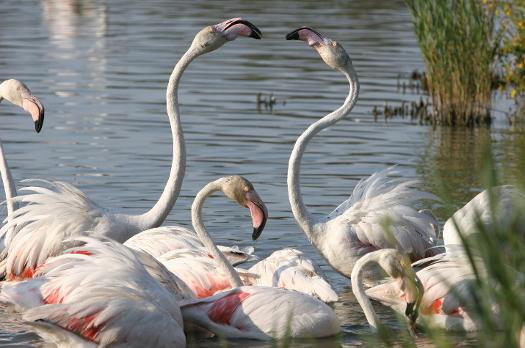 Voyage sur-mesure, Quand le sud vous surprend