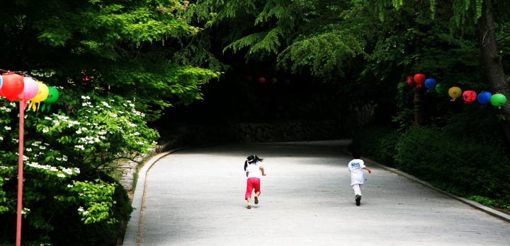 Voyage sur-mesure, La Corée du Sud en famille