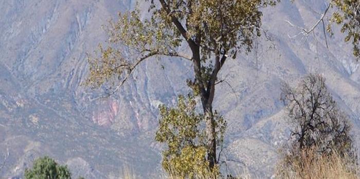 Voyage sur-mesure, Treks région de Salta