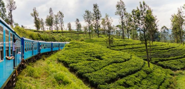 Voyage sur-mesure, Voyage légendaire à bord des trains au Sri Lanka