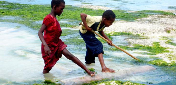 Voyage sur-mesure, Zanzibar en famille