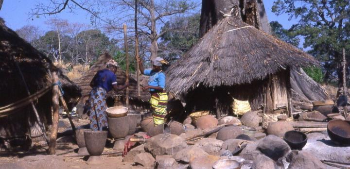 Voyage sur-mesure, Le Sénégal hors des sentiers battus en deux semaines