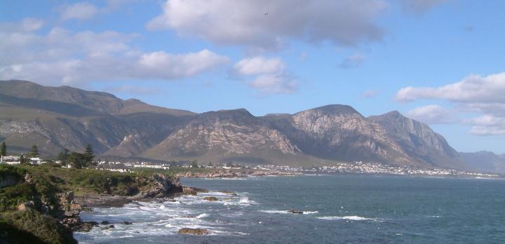 Voyage sur-mesure, Observation respectueuse des baleines en Afrique du Sud