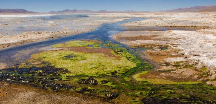 Voyage sur-mesure, Découverte de la Bolivie : Andes, Altiplano et Amazonie