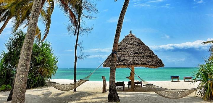 Voyage sur-mesure, Voyage combiné : plongée à Zanzibar, Mafia et Pemba