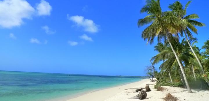 Voyage sur-mesure, Combiné d'îles et plongée à Zanzibar, Mafia et Pemba