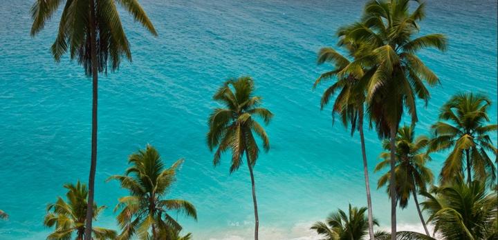Voyage sur-mesure, Mahé, Praslin, La Digue : Les incontournables