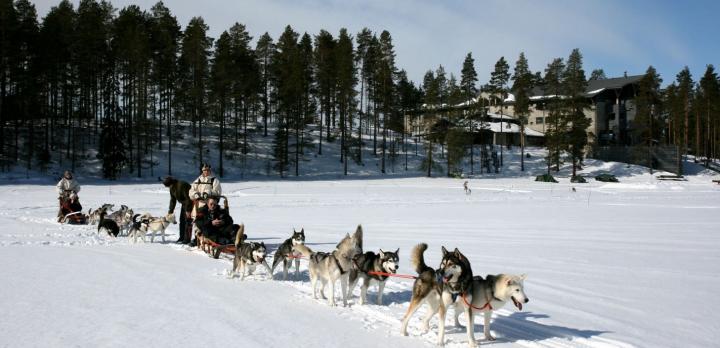 Voyage sur-mesure, Noël au pays du Père-Noël