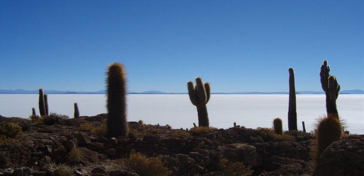 Voyage sur-mesure, Circuit Nord Argentine – Bolivie - Chili