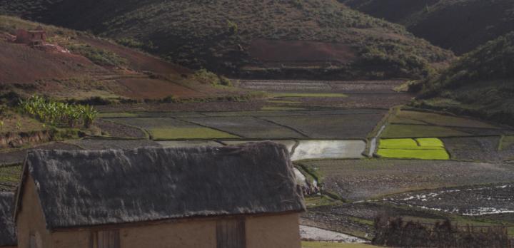 Voyage sur-mesure, Sous le soleil de Madagascar