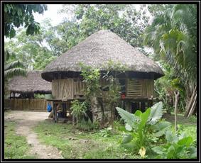 Voyage sur-mesure, Amazonie : tourisme communautaire