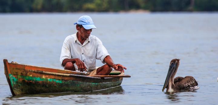 Voyage sur-mesure, Découverte complète du Guatemala avec Copan