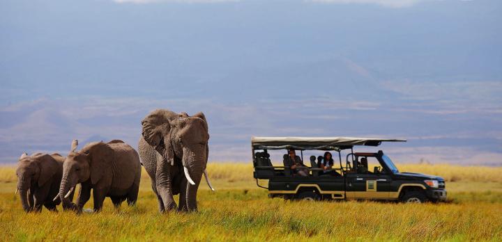 Voyage sur-mesure, Safari de luxe en Tanzanie en avion de brousse