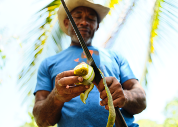 Voyage sur-mesure, Découverte de la Jamaïque authentique