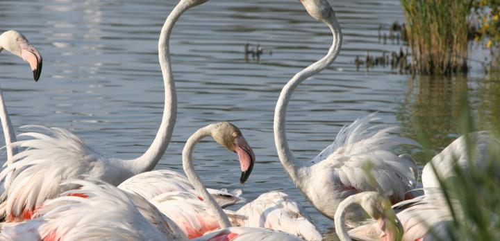 Voyage sur-mesure, Quand le sud vous surprend