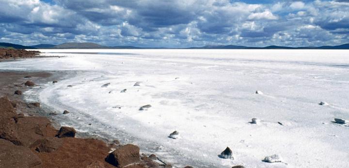 Voyage sur-mesure, Découverte de la Péninsule d'Eyre